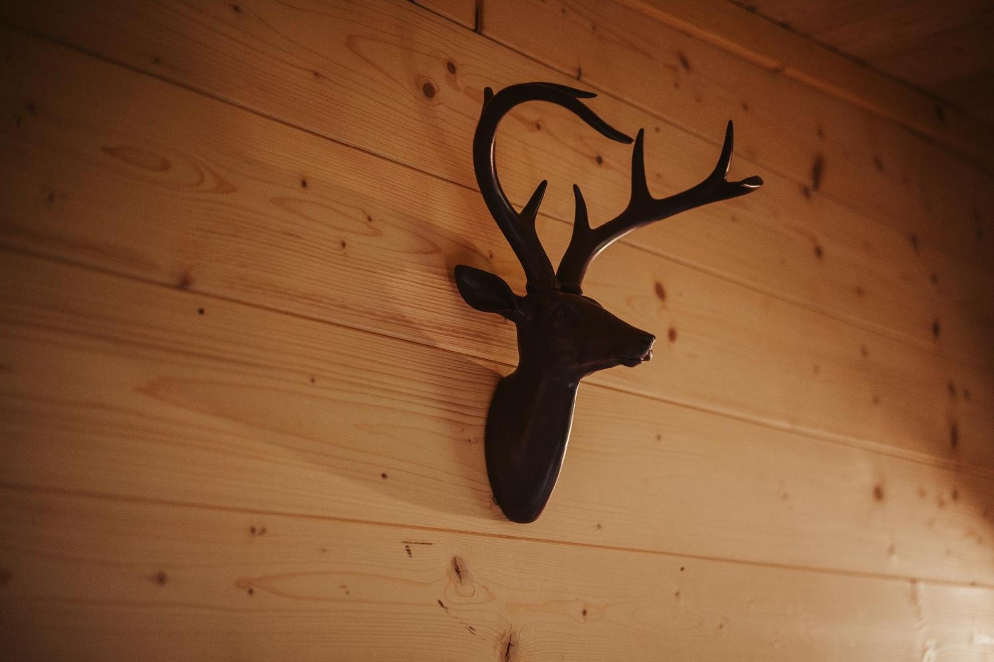 Treehouse Tucapy Hotel Екстериор снимка